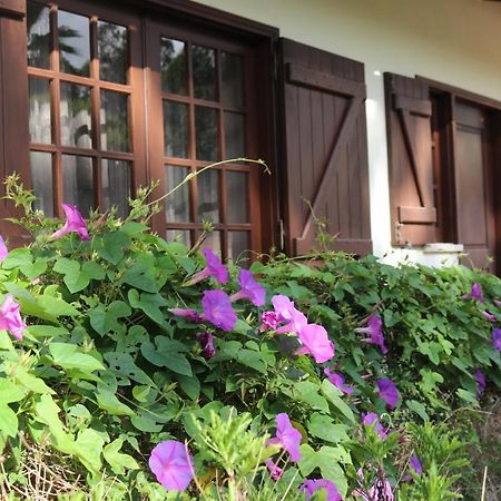 A Quinta Duna Salir de Porto Ngoại thất bức ảnh