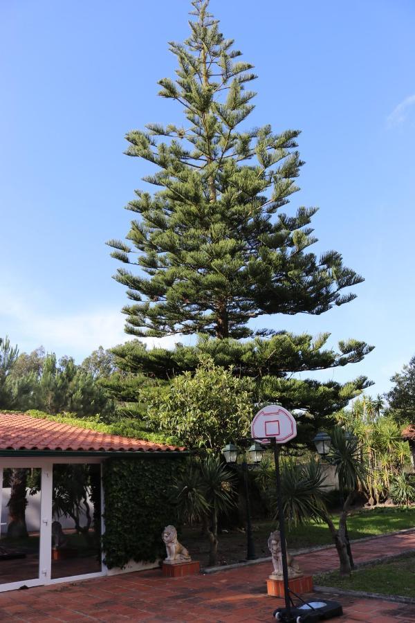 A Quinta Duna Salir de Porto Ngoại thất bức ảnh